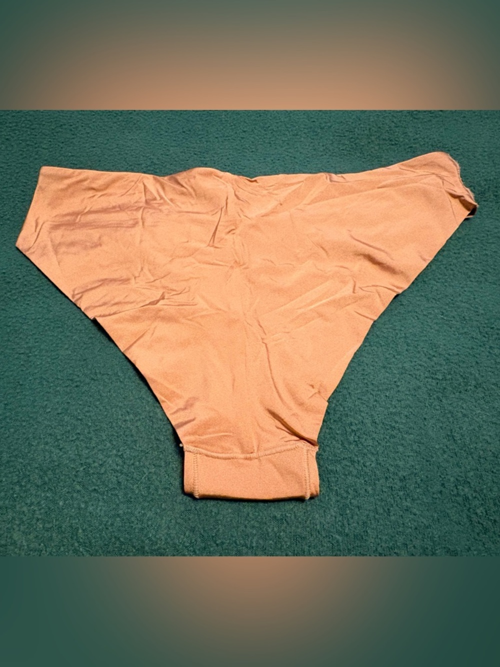 SKIMS Nude Bikini Panty - Picture 6 of 11